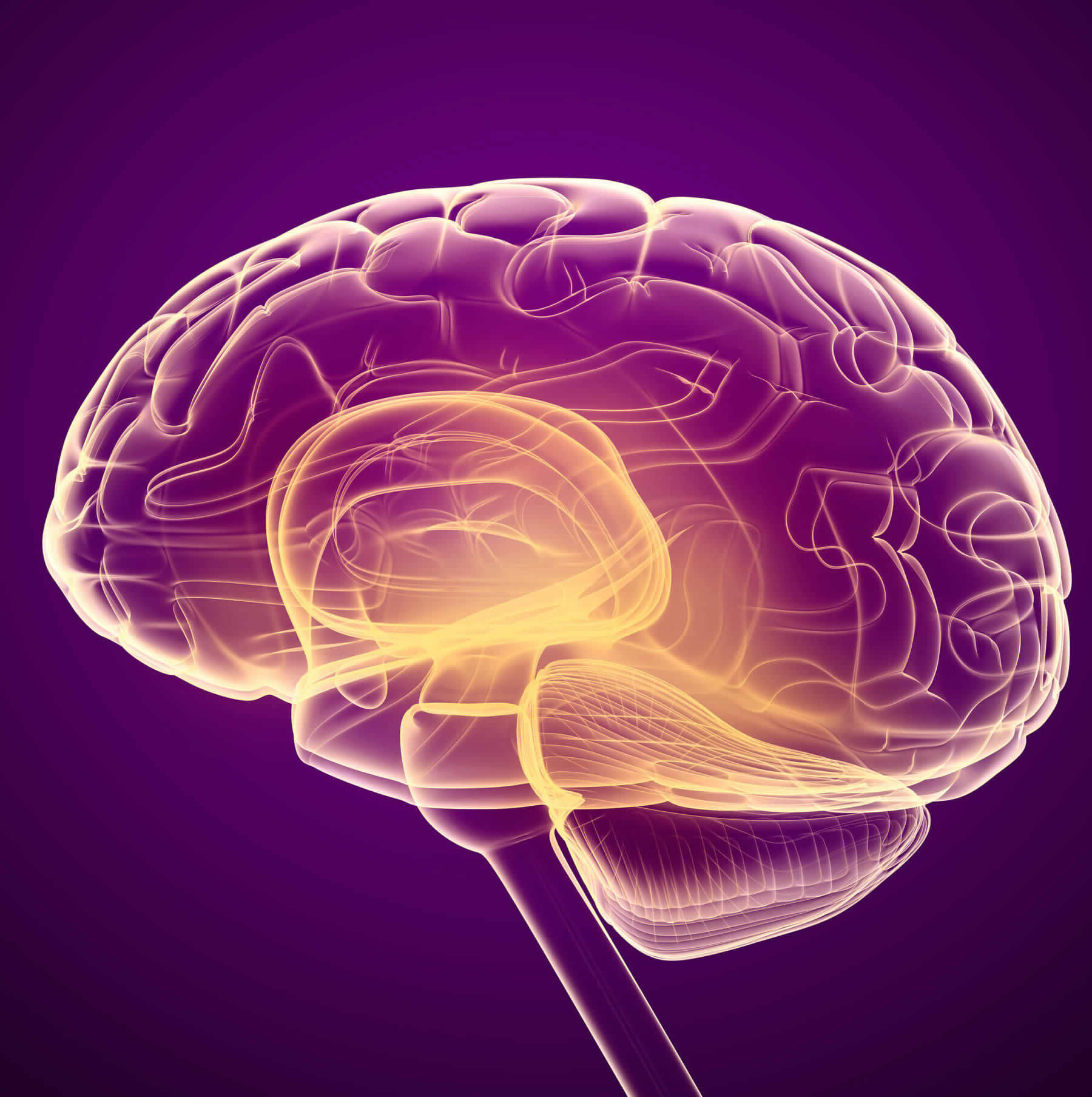The popularity of nootropics(Nootropic Pouches) is on the rise.