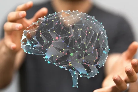 How Do Nootropics Pouches Work?