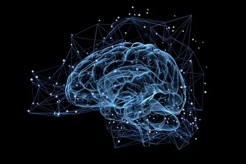 Nootropic Pouches