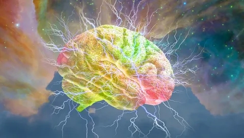 Nootropic Pouches