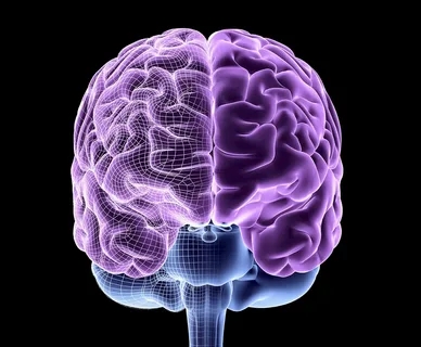 The Convenience Factor of Nootropic Pouches