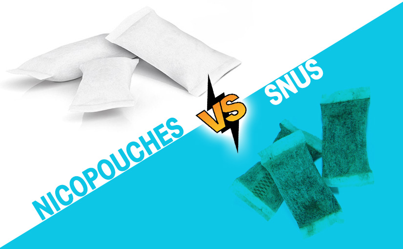 nicopouche-vs-snus