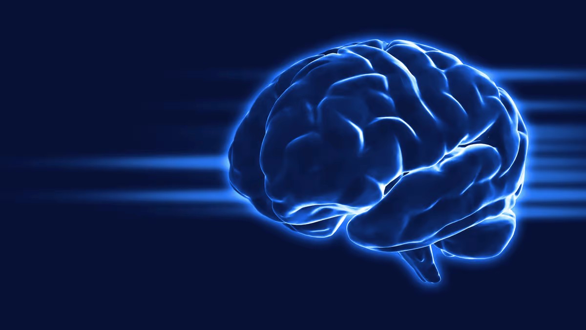 Nootropic Pouches 